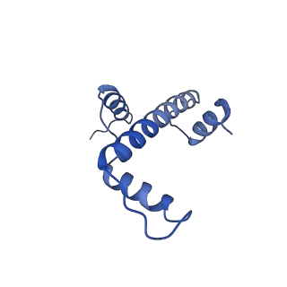 0694_6kix_A_v1-4
Cryo-EM structure of human MLL1-NCP complex, binding mode1