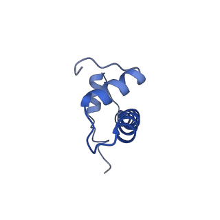 0694_6kix_B_v1-4
Cryo-EM structure of human MLL1-NCP complex, binding mode1