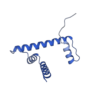0694_6kix_D_v1-3
Cryo-EM structure of human MLL1-NCP complex, binding mode1