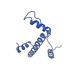 0694_6kix_E_v1-3
Cryo-EM structure of human MLL1-NCP complex, binding mode1