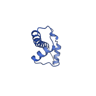 0694_6kix_F_v1-3
Cryo-EM structure of human MLL1-NCP complex, binding mode1