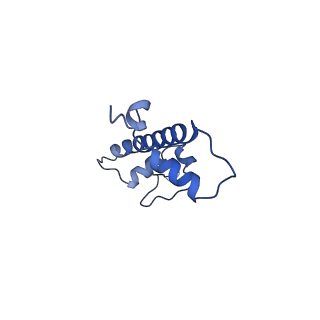 0694_6kix_G_v1-3
Cryo-EM structure of human MLL1-NCP complex, binding mode1