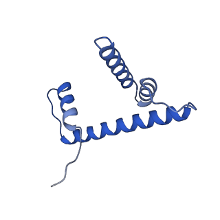 0694_6kix_H_v1-3
Cryo-EM structure of human MLL1-NCP complex, binding mode1
