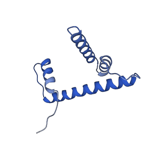 0694_6kix_H_v1-4
Cryo-EM structure of human MLL1-NCP complex, binding mode1