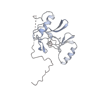0694_6kix_K_v1-3
Cryo-EM structure of human MLL1-NCP complex, binding mode1
