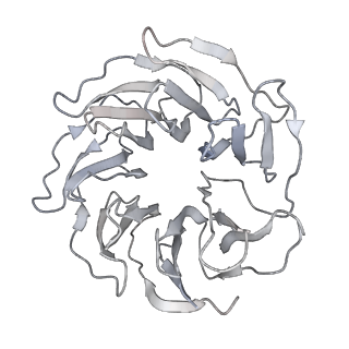 0694_6kix_R_v1-3
Cryo-EM structure of human MLL1-NCP complex, binding mode1