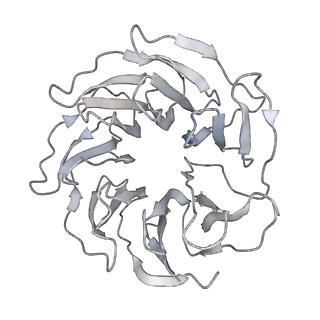 0694_6kix_R_v1-4
Cryo-EM structure of human MLL1-NCP complex, binding mode1