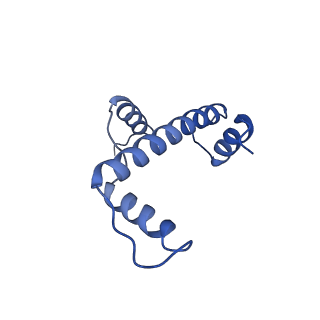 0695_6kiz_A_v1-3
Cryo-EM structure of human MLL1-NCP complex, binding mode2
