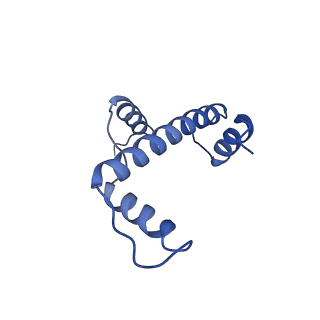 0695_6kiz_A_v1-4
Cryo-EM structure of human MLL1-NCP complex, binding mode2