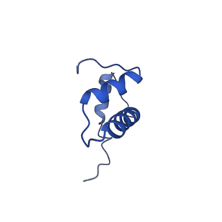 0695_6kiz_B_v1-3
Cryo-EM structure of human MLL1-NCP complex, binding mode2