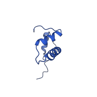 0695_6kiz_B_v1-4
Cryo-EM structure of human MLL1-NCP complex, binding mode2