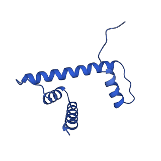 0695_6kiz_D_v1-3
Cryo-EM structure of human MLL1-NCP complex, binding mode2