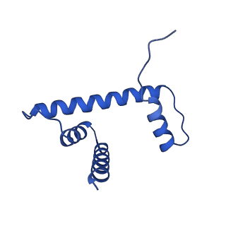 0695_6kiz_D_v1-4
Cryo-EM structure of human MLL1-NCP complex, binding mode2