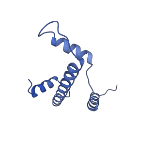 0695_6kiz_E_v1-3
Cryo-EM structure of human MLL1-NCP complex, binding mode2