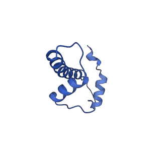 0695_6kiz_F_v1-3
Cryo-EM structure of human MLL1-NCP complex, binding mode2