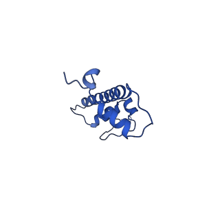 0695_6kiz_G_v1-3
Cryo-EM structure of human MLL1-NCP complex, binding mode2