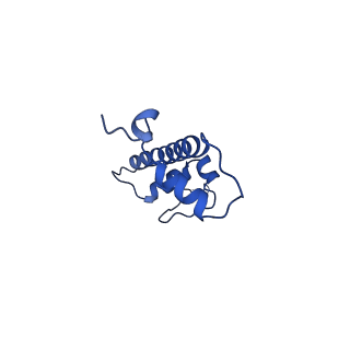 0695_6kiz_G_v1-4
Cryo-EM structure of human MLL1-NCP complex, binding mode2