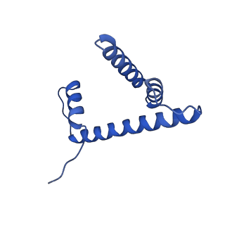 0695_6kiz_H_v1-3
Cryo-EM structure of human MLL1-NCP complex, binding mode2