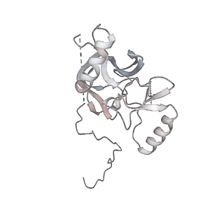0695_6kiz_K_v1-3
Cryo-EM structure of human MLL1-NCP complex, binding mode2