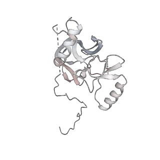 0695_6kiz_K_v1-4
Cryo-EM structure of human MLL1-NCP complex, binding mode2