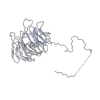 0695_6kiz_N_v1-3
Cryo-EM structure of human MLL1-NCP complex, binding mode2