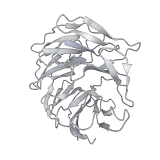 0695_6kiz_R_v1-3
Cryo-EM structure of human MLL1-NCP complex, binding mode2
