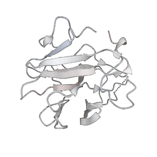 0695_6kiz_T_v1-3
Cryo-EM structure of human MLL1-NCP complex, binding mode2