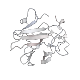 0695_6kiz_T_v1-4
Cryo-EM structure of human MLL1-NCP complex, binding mode2