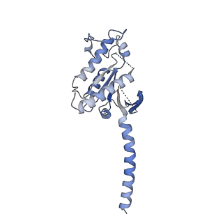 22882_7ki0_A_v1-0
Semaglutide-bound Glucagon-Like Peptide-1 (GLP-1) Receptor in Complex with Gs protein