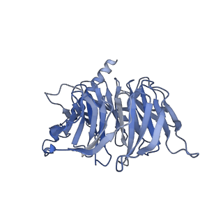 22882_7ki0_B_v1-0
Semaglutide-bound Glucagon-Like Peptide-1 (GLP-1) Receptor in Complex with Gs protein