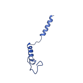 22882_7ki0_G_v1-0
Semaglutide-bound Glucagon-Like Peptide-1 (GLP-1) Receptor in Complex with Gs protein