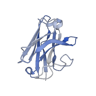 22882_7ki0_N_v1-0
Semaglutide-bound Glucagon-Like Peptide-1 (GLP-1) Receptor in Complex with Gs protein