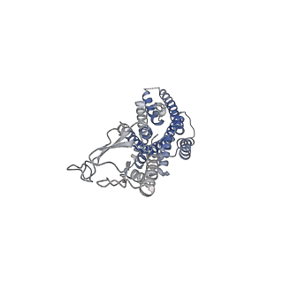 22882_7ki0_R_v1-0
Semaglutide-bound Glucagon-Like Peptide-1 (GLP-1) Receptor in Complex with Gs protein