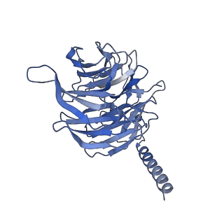 22883_7ki1_B_v1-0
Taspoglutide-bound Glucagon-Like Peptide-1 (GLP-1) Receptor in Complex with Gs Protein