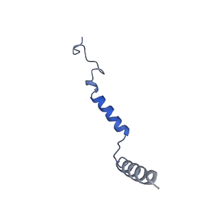 22883_7ki1_G_v1-0
Taspoglutide-bound Glucagon-Like Peptide-1 (GLP-1) Receptor in Complex with Gs Protein