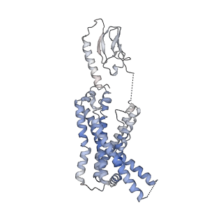 22883_7ki1_R_v1-0
Taspoglutide-bound Glucagon-Like Peptide-1 (GLP-1) Receptor in Complex with Gs Protein