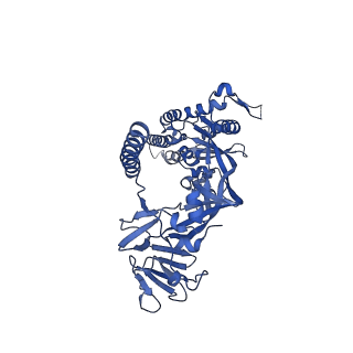 22884_7ki4_A_v1-2
Structure of the NiV F glycoprotein in complex with the 12B2 neutralizing antibody