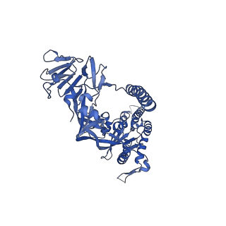 22884_7ki4_B_v1-2
Structure of the NiV F glycoprotein in complex with the 12B2 neutralizing antibody