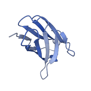 22884_7ki4_C_v1-2
Structure of the NiV F glycoprotein in complex with the 12B2 neutralizing antibody