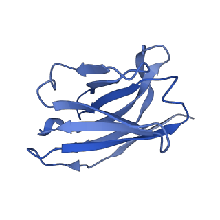 22884_7ki4_D_v1-2
Structure of the NiV F glycoprotein in complex with the 12B2 neutralizing antibody