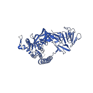 22884_7ki4_E_v1-2
Structure of the NiV F glycoprotein in complex with the 12B2 neutralizing antibody
