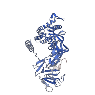 22885_7ki6_A_v1-3
Structure of the HeV F glycoprotein in complex with the 1F5 neutralizing antibody