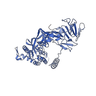 22885_7ki6_B_v1-3
Structure of the HeV F glycoprotein in complex with the 1F5 neutralizing antibody