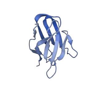 22885_7ki6_F_v1-3
Structure of the HeV F glycoprotein in complex with the 1F5 neutralizing antibody