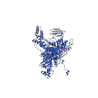 22886_7kif_D_v1-1
Mycobacterium tuberculosis WT RNAP transcription open promoter complex with WhiB7 transcription factor