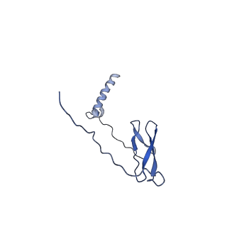 22886_7kif_J_v1-1
Mycobacterium tuberculosis WT RNAP transcription open promoter complex with WhiB7 transcription factor