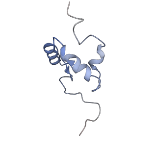22886_7kif_Z_v1-1
Mycobacterium tuberculosis WT RNAP transcription open promoter complex with WhiB7 transcription factor