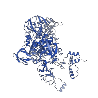 22887_7kim_C_v1-1
Mycobacterium tuberculosis WT RNAP transcription closed promoter complex with WhiB7 transcription factor