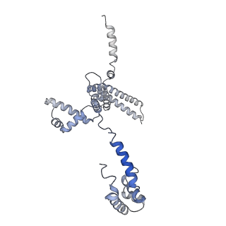 22887_7kim_F_v1-1
Mycobacterium tuberculosis WT RNAP transcription closed promoter complex with WhiB7 transcription factor