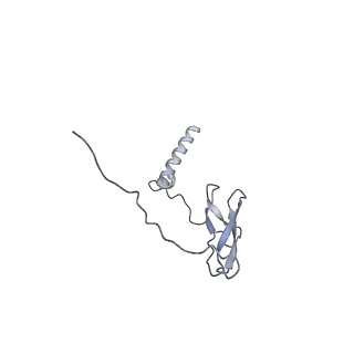 22887_7kim_J_v1-1
Mycobacterium tuberculosis WT RNAP transcription closed promoter complex with WhiB7 transcription factor